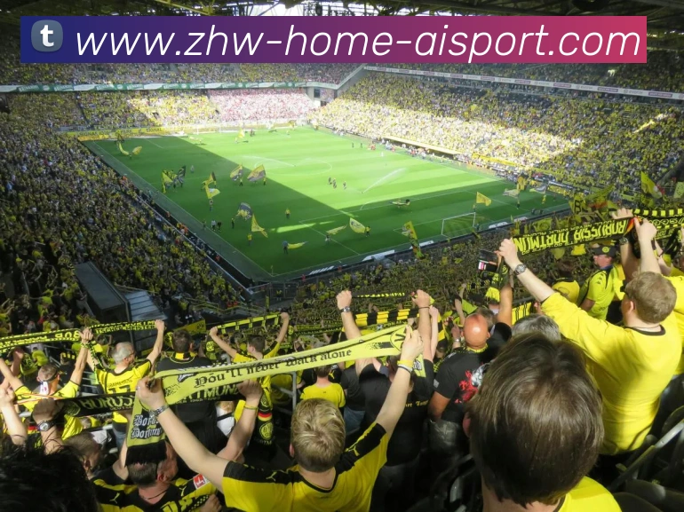 爱体育APP 高清赛事图