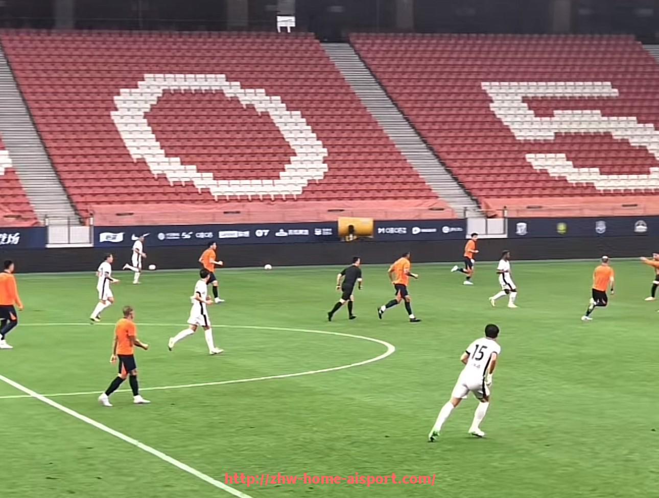 爱体育-2024年法甲外援竞技表现的详细回顾与评价