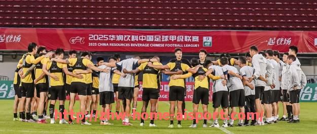 爱体育-“龙文”足球队是否属于意甲?俱乐部背景调查